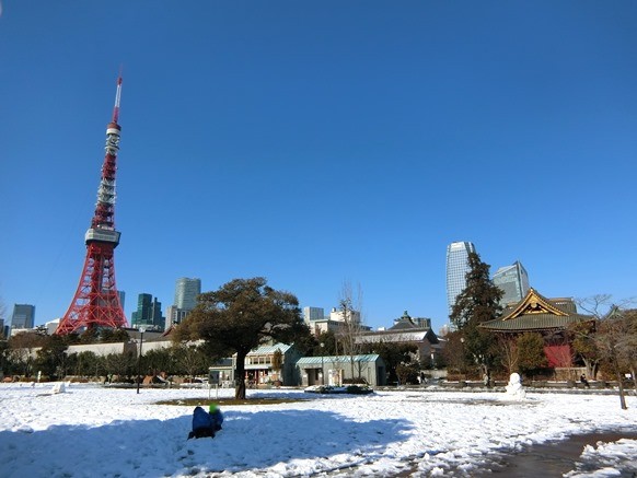 雪と東京タワー 2018